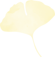 icon logo