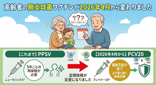 高齢者の肺炎球菌ワクチンが2026年4月から変わりました